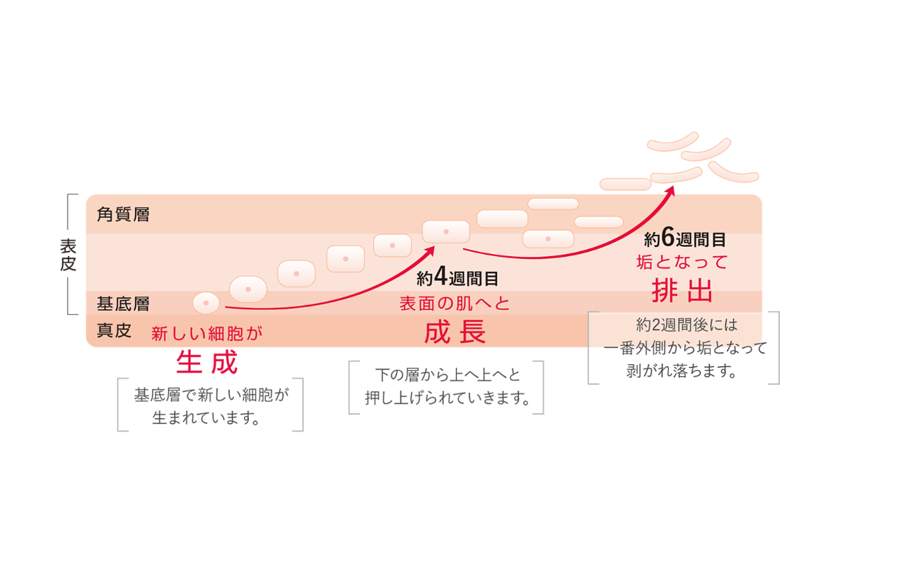 1920石圧縮