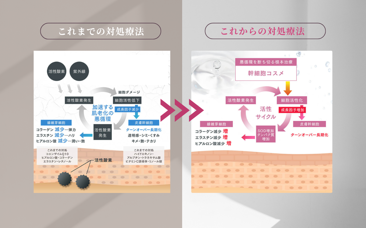 再生医療から派生したスキンケア