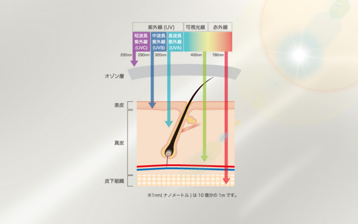 紫外線の種類と肌への影響